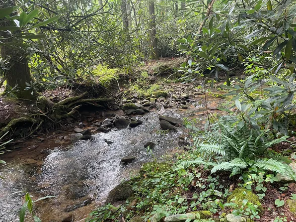 1947 Highway 91, Shady Valley, TN 37688