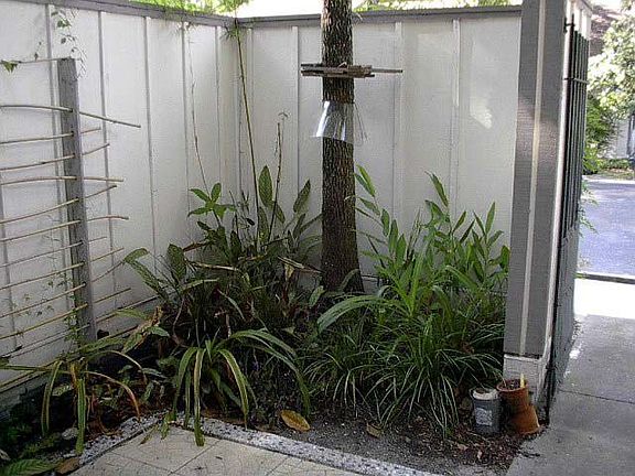 Front Court Yard Area