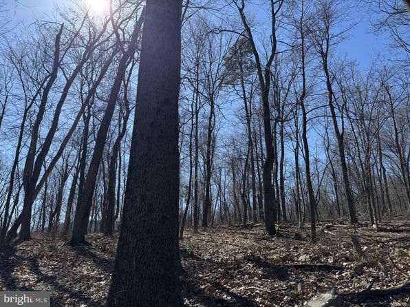 20/ACRE S Punch Bowl Rd, Mercersburg, PA 17236