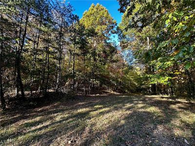 County Line Rd, Saint Marys, WV, 26170