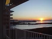 Gorgeous Sunsets