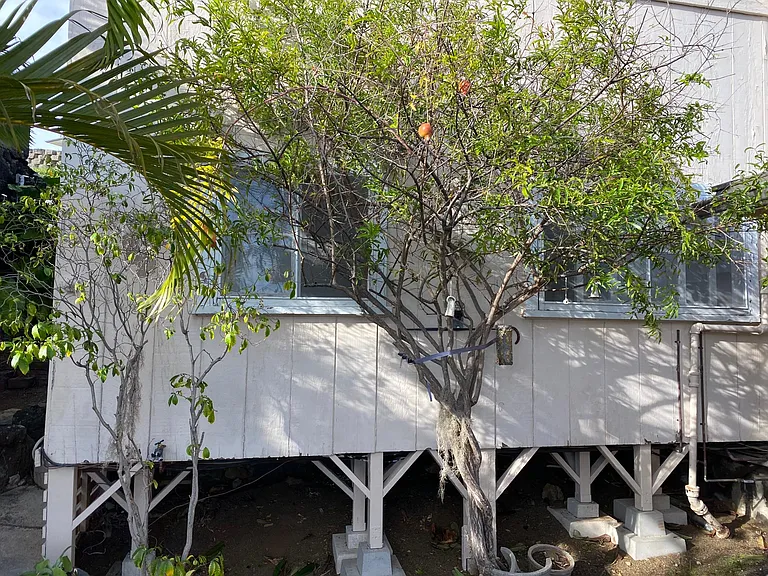 Mott Smith Dr — Photo 12