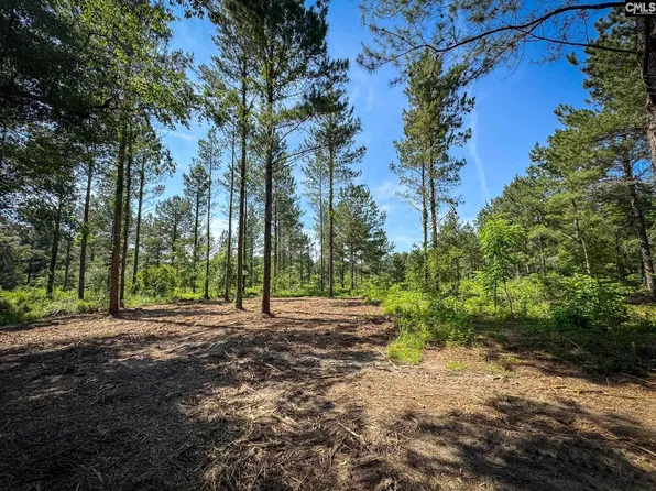 0 Lewis Waters Rd Lot 1, Leesville, SC 29070