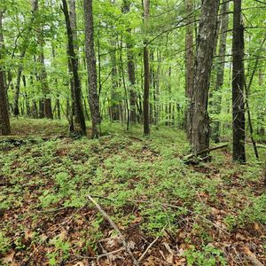 0 Buttonwood Rd #21, Connelly Springs, NC, 28612