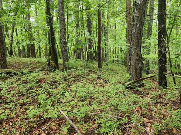 0 Buttonwood Rd #21, Connelly Springs, NC 28612