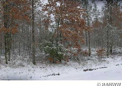 4th image of 0 Mclain Road