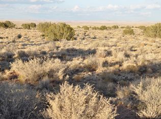 5545 Sondy Rd, Snowflake, AZ 85937