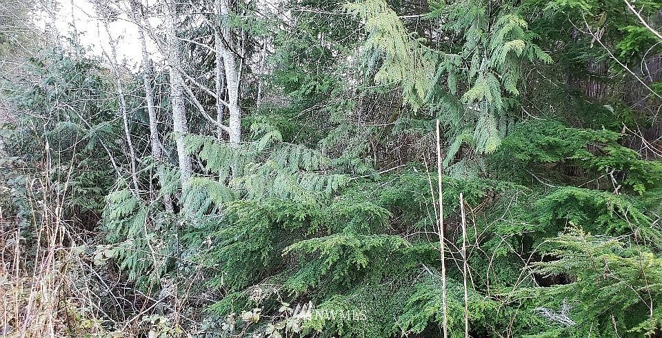 1st image of 390 E Dartmoor Dr