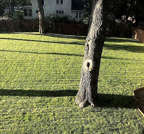 3rd image of 1015 101st Ln NE