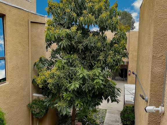 4th image of 6350 Reseda Blvd APT 205