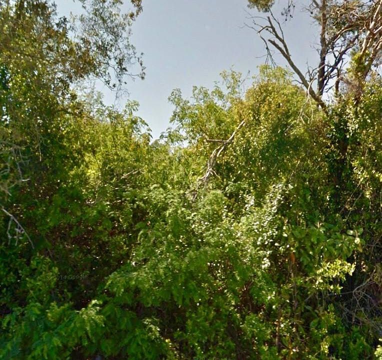 1st image of 107 Henry Ave