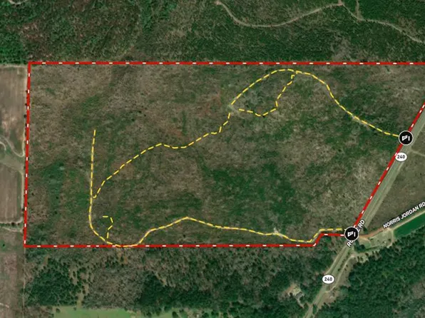 Ronnie Rd, Buena Vista, GA 31803