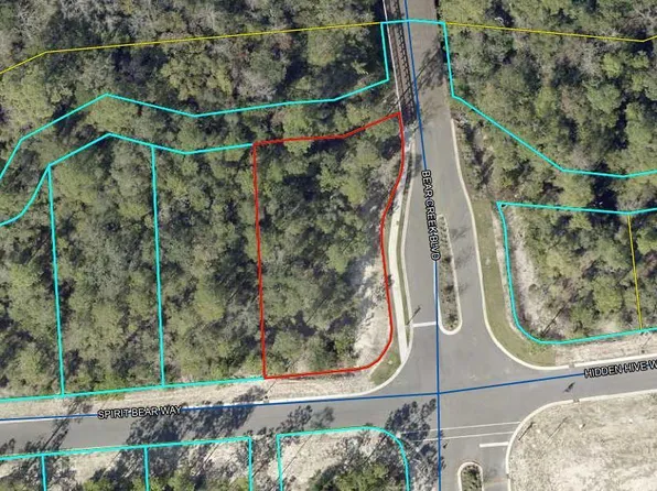 LOT 39 Spirit Bear Way, Freeport, FL 32439