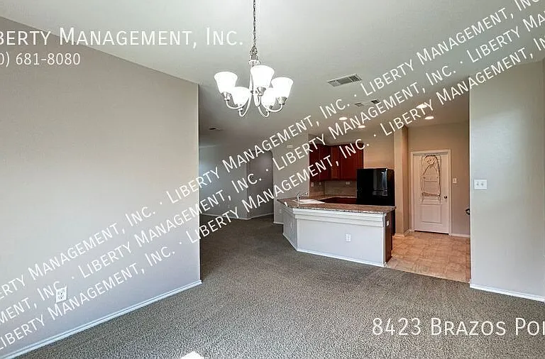 8423 Brazos Point — Photo 8