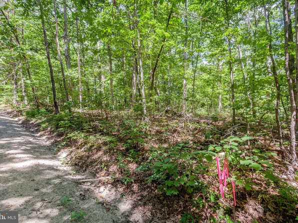 LOT 38 White Oak Rd #K, Luray, VA 22835