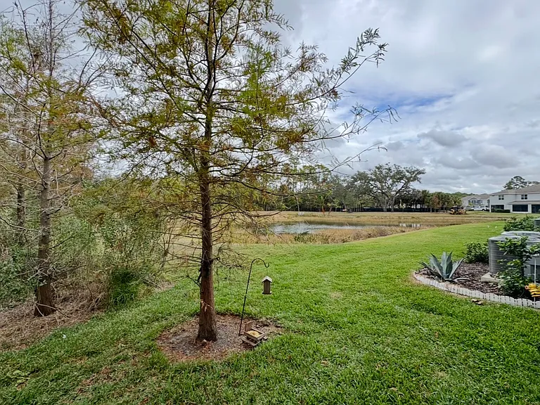 6574 Calypso Coral Ln — Photo 15