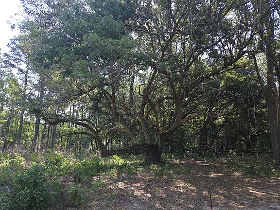 4th image of 1040 Short Cut Rd