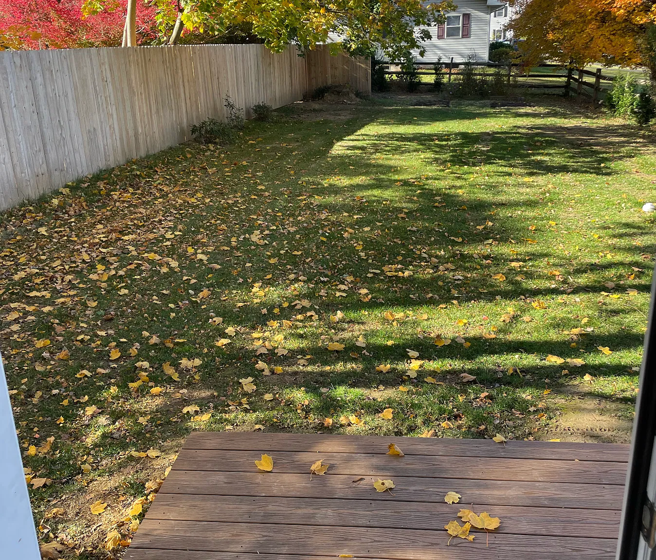 1 bed, 650 sqft, $1,550 — Photo 4