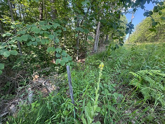 5th image of Lot 3 Fisher Drive