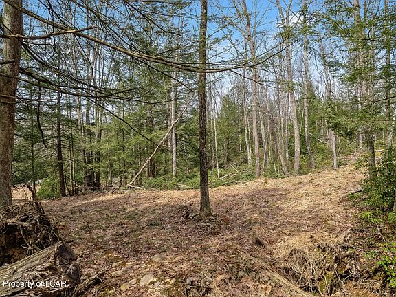 5th image of 937 Mooretown Rd