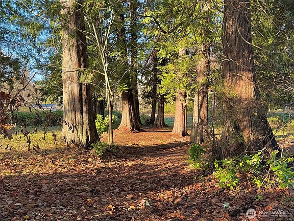 2nd image of 25 NE Roy Boad Road