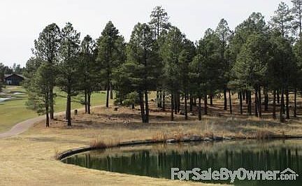 View of Lot from 8th Hole