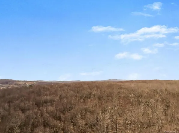 Big Woods Rd, Harris, NY 12742