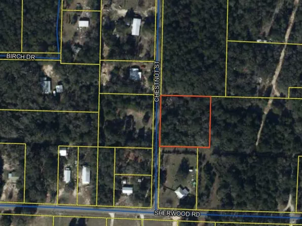 80 Chestnut St, Defuniak Springs, FL 32435