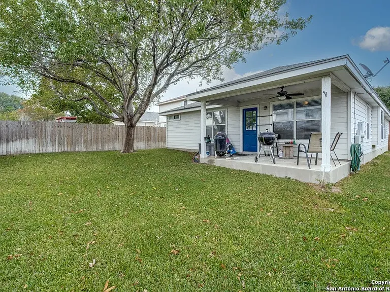 Back yard