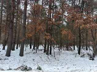10068 Sherwood Cir, Stanwood, MI