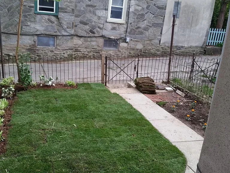 Backyard/parking