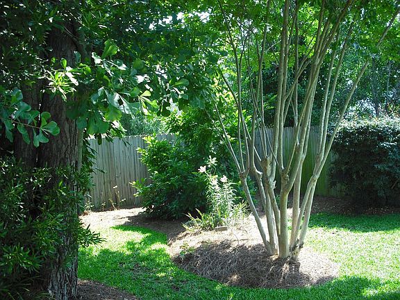 Back Right Landscaping