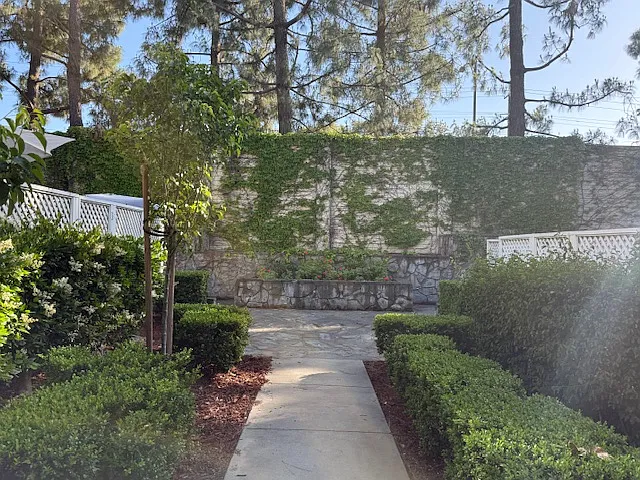 7003 Rodling Dr #B — Photo 23
