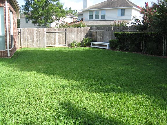 Backyard 2