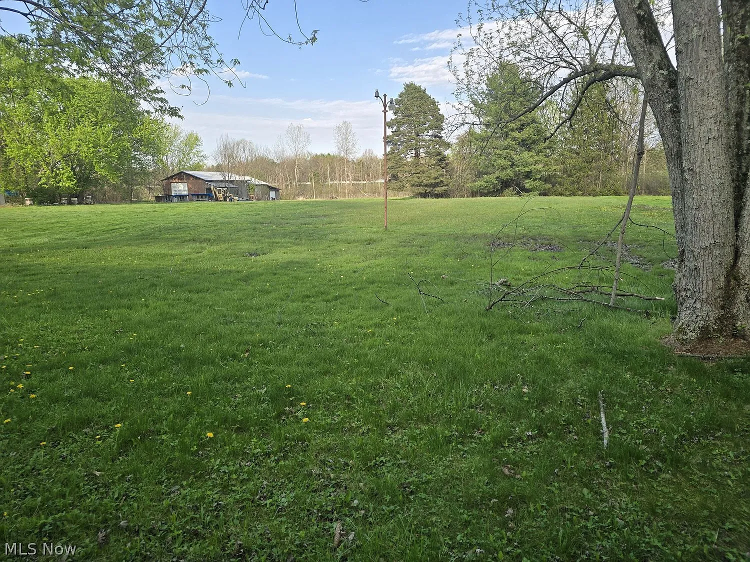3 bed, 1.5 bath, 1274 sqft, $1,795 — Photo 4