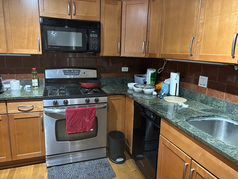 3950 N Lakeshore Dr #224 — Photo 7