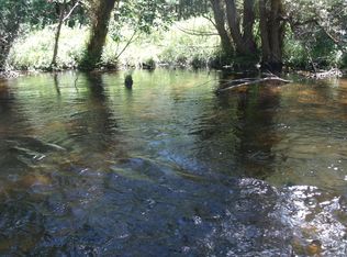 Fulmer Rd, Wolverine, MI 49799