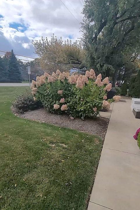 Private Patio May-November