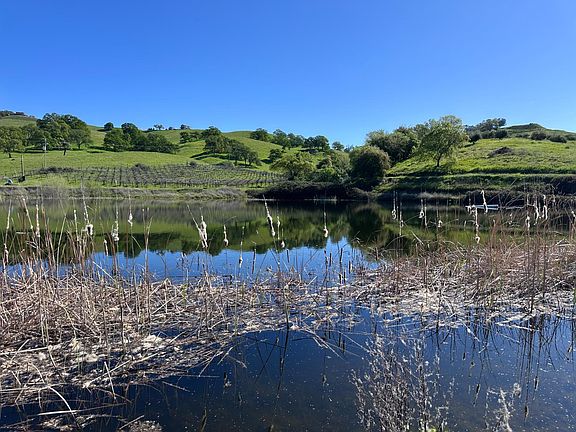 3rd image of 8055 Airola Rd