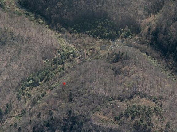 2nd image of 0 Lynn Bark Fork Rd