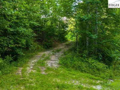 TBD-6 Big Laurel Road, Creston, NC, 28615