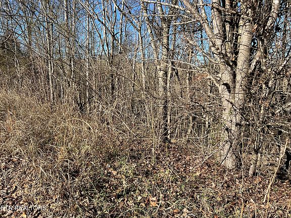 3rd image of Baldwin View Dr