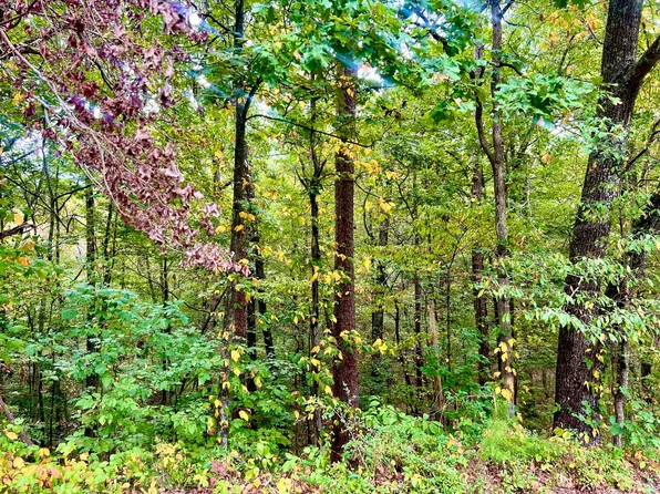 0 Jacobs Rd, Ringgold, GA 30736