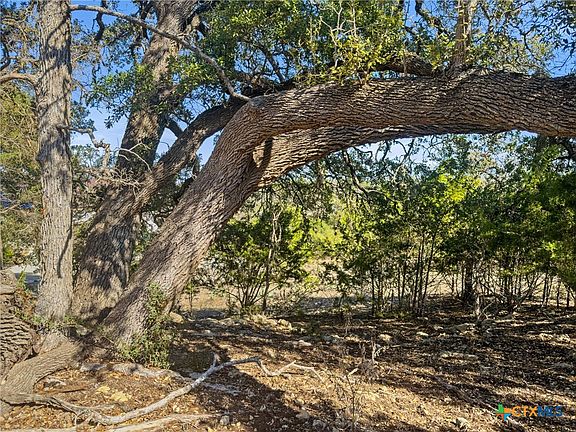 4th image of 1075 Pegasus Dr