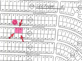 3248 Flatbush Ave, Lake Placid, FL 33852