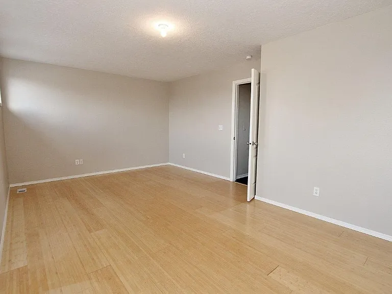 17696 Dark Zebra Way — Photo 19