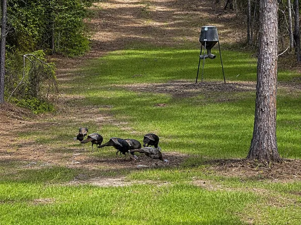 Jerusalem Rd, Liberty, MS 39645