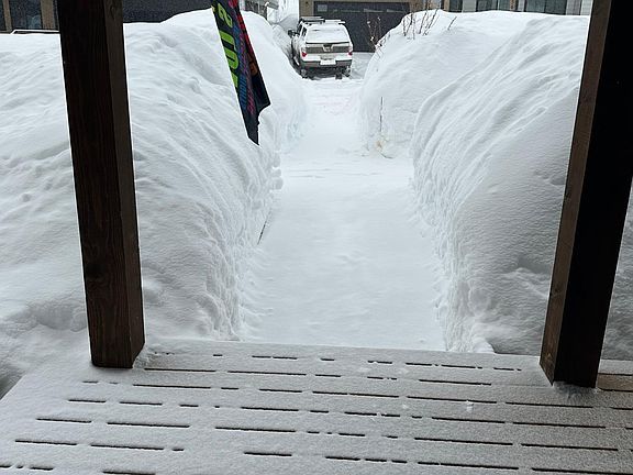 Looking out the front door