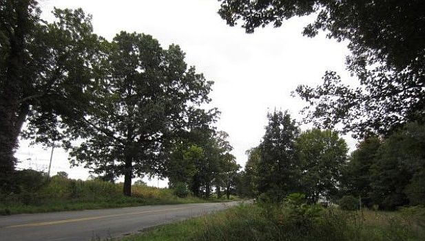 2nd image of 18257 Eleven Mile Rd