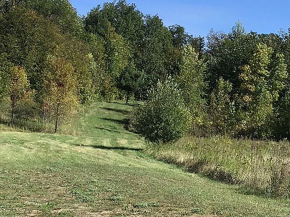 Lot at dead gravel road 